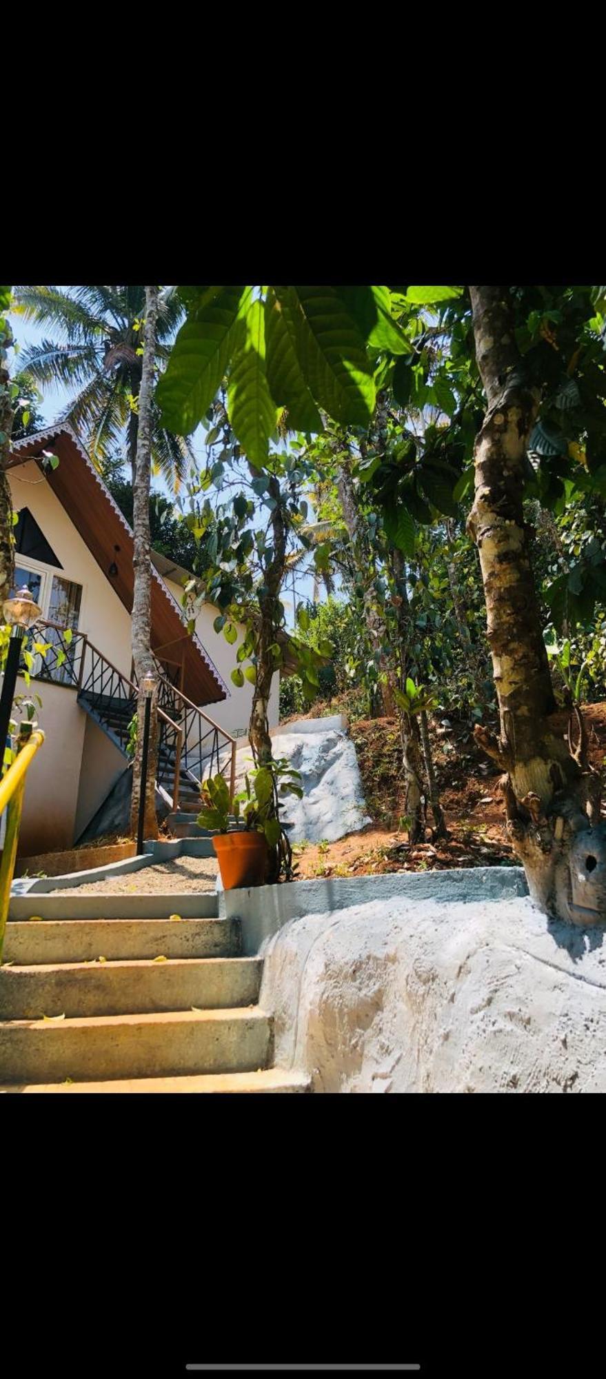 Wood Castle Munnar Casa de hóspedes Exterior foto